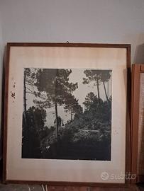 Quadro d'antiquariato 