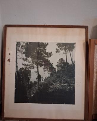 Quadro d'antiquariato 