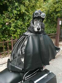 Gabbia/Cupola per Due Ruote