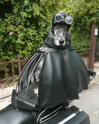 Gabbia/Cupola per Due Ruote