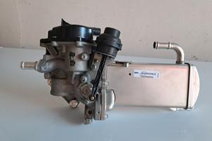EGR con scambiatore Audi