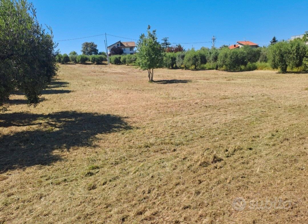 Terreno Agricolo 4.000 MQ - Vista 2