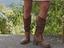 Immagine 1
