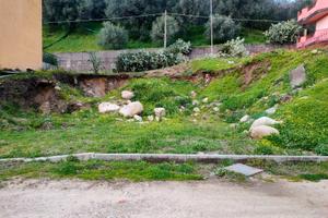 Terreno edificabile a Galatro