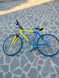 Bicicletta Mountain bike