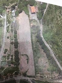 Terreno 2000 metri tutto un piano