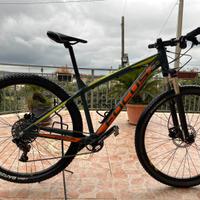 MTB Focus Whistler 29