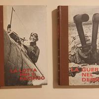 Lotto Lotta per il Pacifico, La guerra nel deserto