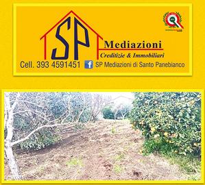 Singola con Terreno da Ristrutturare