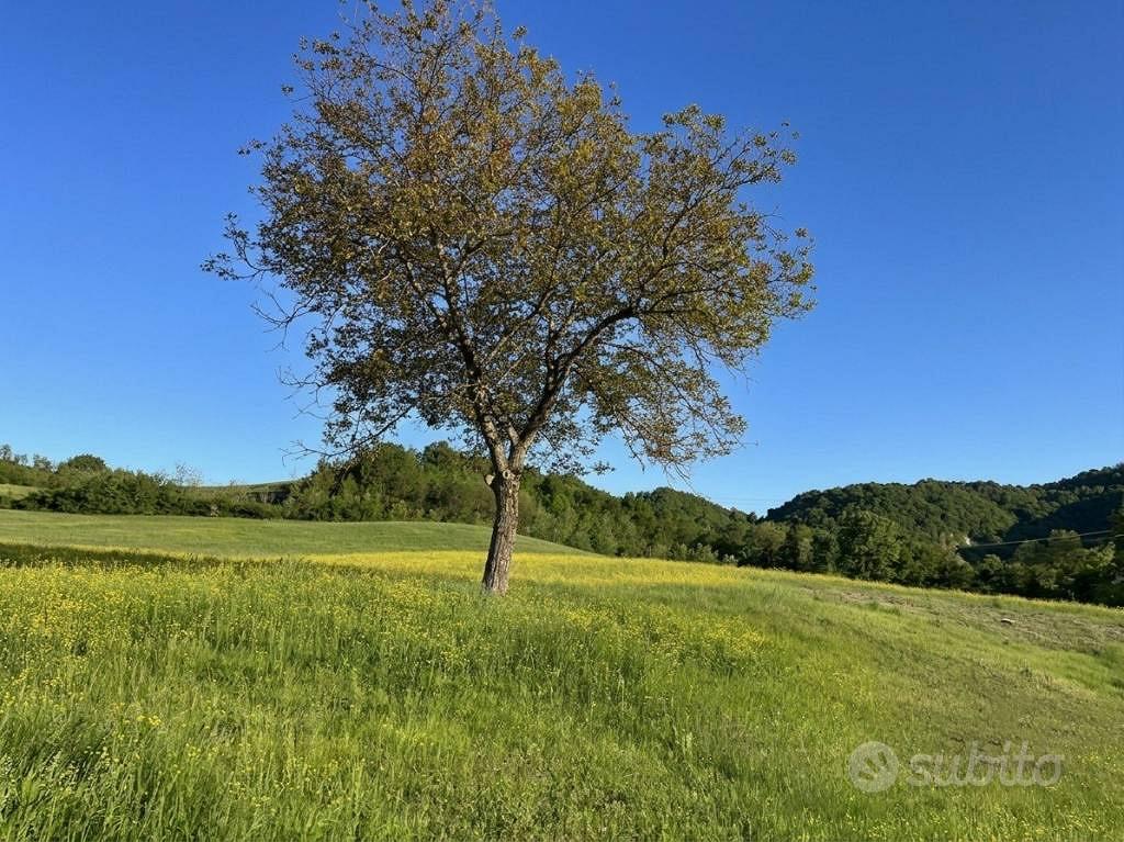 Rustico / Casale di 600 m² con 5 locali e box auto - Altro