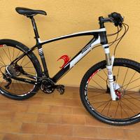 Mtb sants carbonio