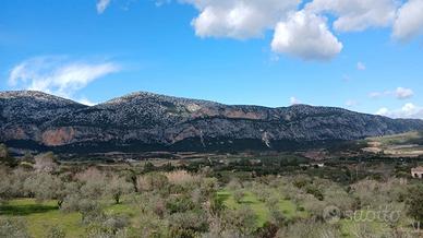 Terreno a Dorgali
