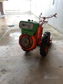 Motocoltivatore Pasquali 917
