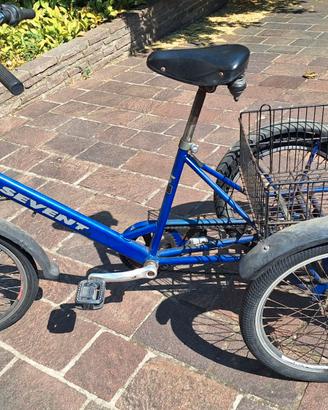 Triciclo adulto