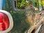 Immagine 2