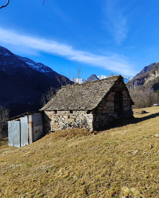 Rustico