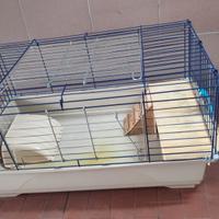 gabbia per coniglio