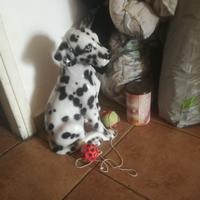 cucciolo della Carica dei 101