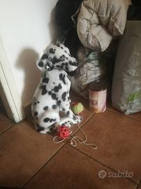 cucciolo della Carica dei 101