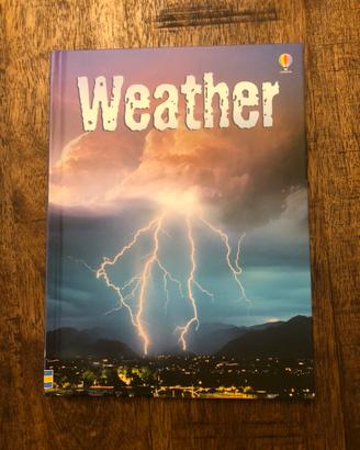 Weather. Usborne beginners
