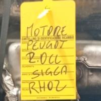 Motore Peugeot Expert