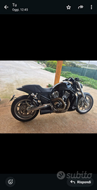 Harley-Davidson v-road 1200 2005