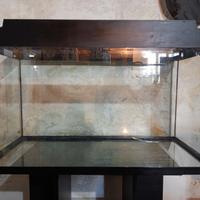Acquario juwel 125 litri