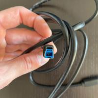 Cavo USB tipo B, 2 metri