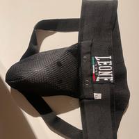 Conchiglia boxe Leone
