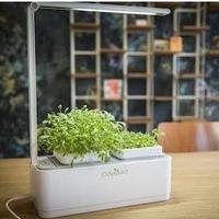 Sistema per orticello indoor