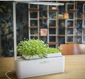 Sistema per orticello indoor