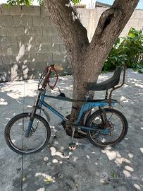 Bicicletta Vintage