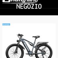 bicicletta elettrica