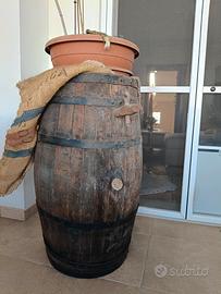 botte in rovere
