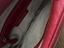 Immagine 5