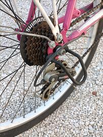 bicicletta da ragazzina 