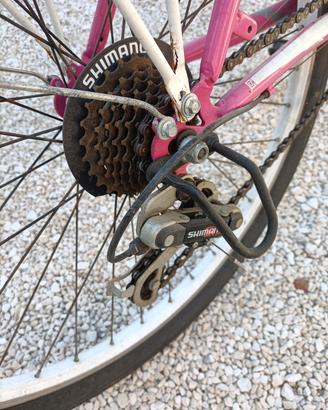 bicicletta da ragazzina 