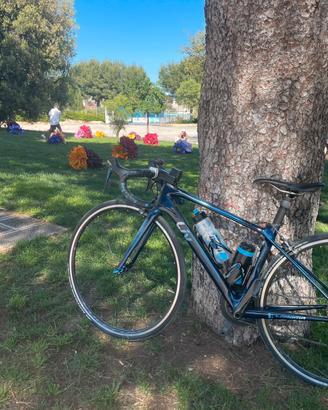 Bici da corsa
