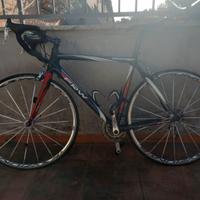 bici da corsa/strada FRW in carbonio