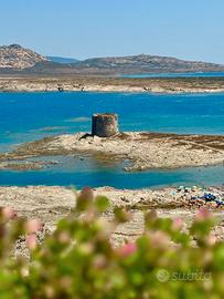 Casa aura su la pelosa
