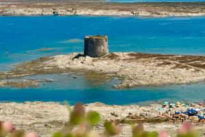 Casa aura su la pelosa