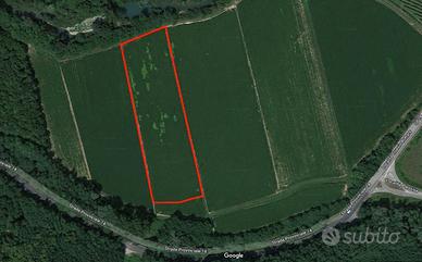 Seminativo a Cormons