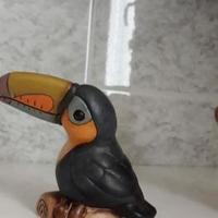 Thun Tucano medio