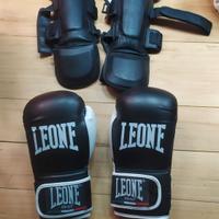 ARTICOLI VARI LEONE DA COMBATTIMENTO