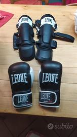 ARTICOLI VARI LEONE DA COMBATTIMENTO