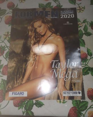 calendario Taylor mega 