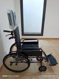 Sedia a rotelle