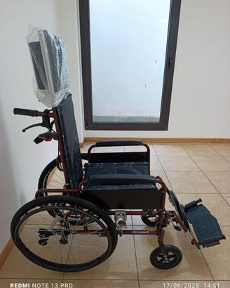 Sedia a rotelle