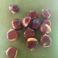Marroni Court de Betizac