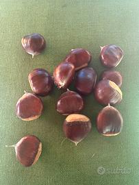 Marroni Court de Betizac